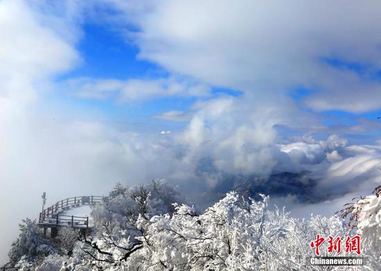 老君山现雪后云海奇观 琼楼玉宇美不胜收